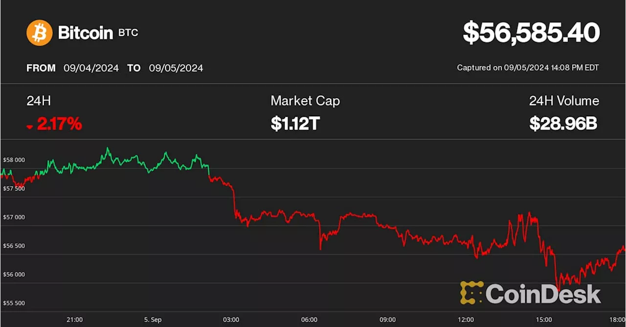 Aptos Leads Losses as Crypto Weakness Continues; Coinbase Shares Fall to 7-Month Lows