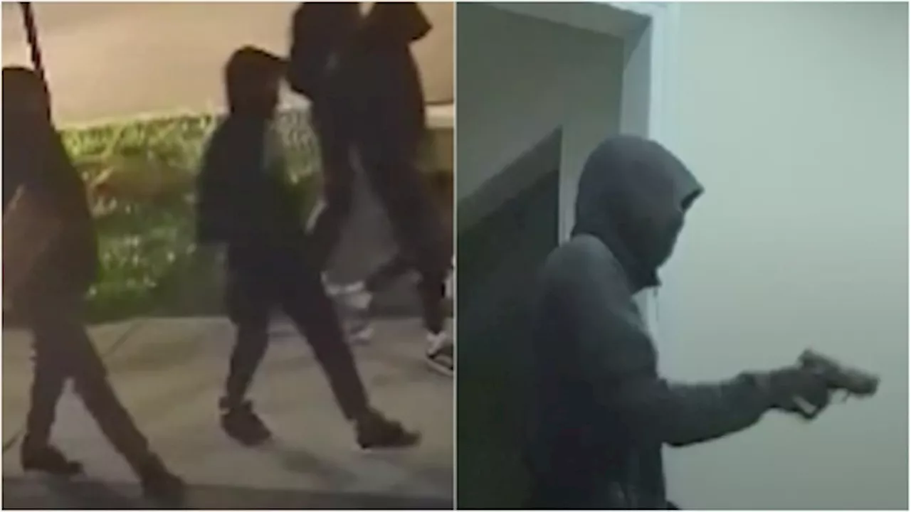 Toronto-area police release video of armed home invasion