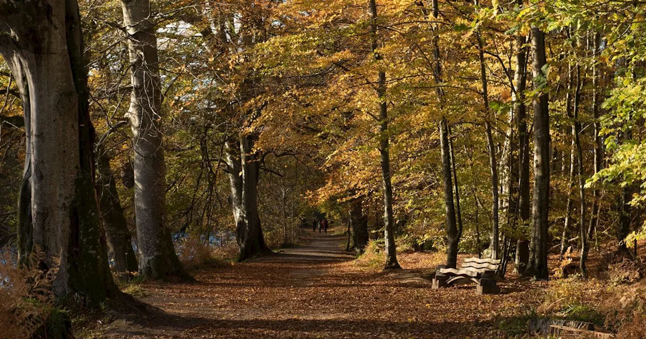 The 'wondrous' Scottish autumn walk that ends at cosy pub with 'roaring fire'