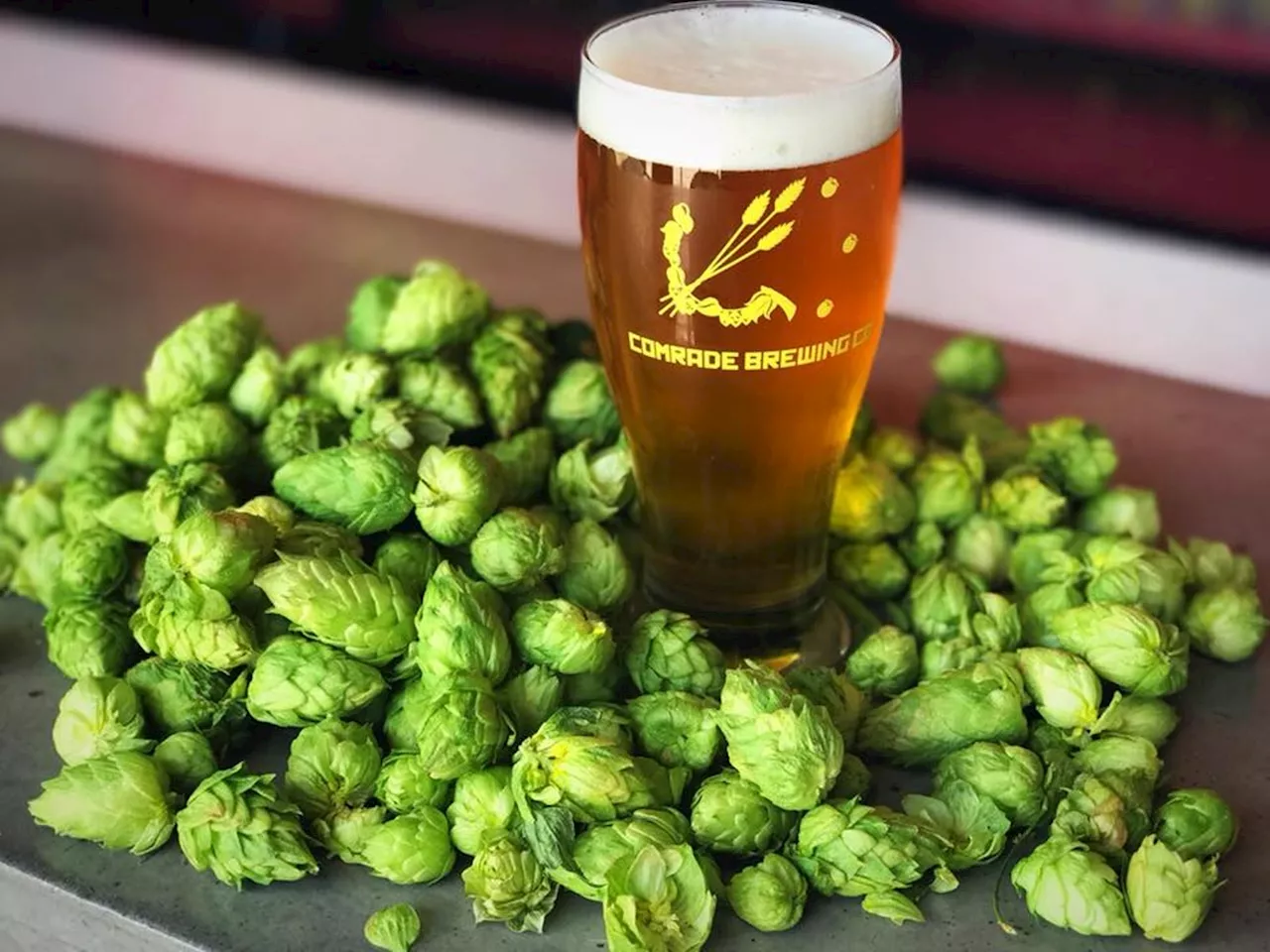 This Week in Beer: Fresh Hop Beer Releases and More