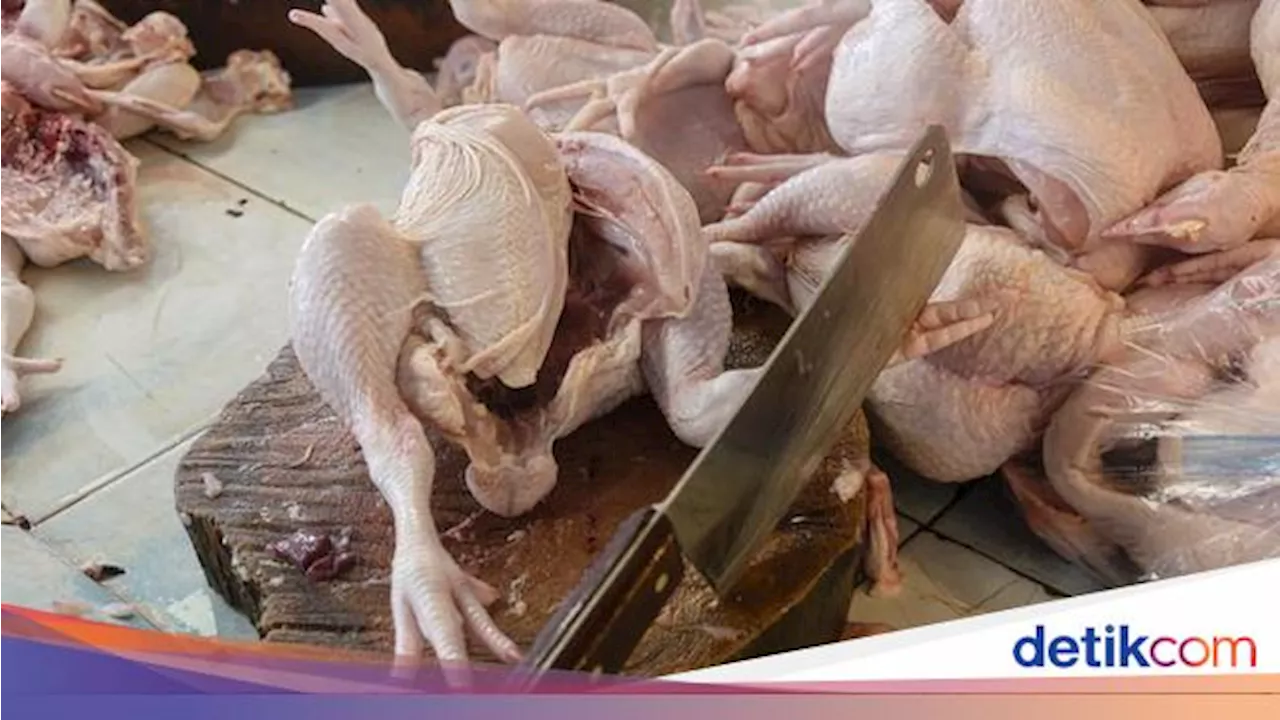 Doa Menyembelih Ayam Sesuai Syariat Islam