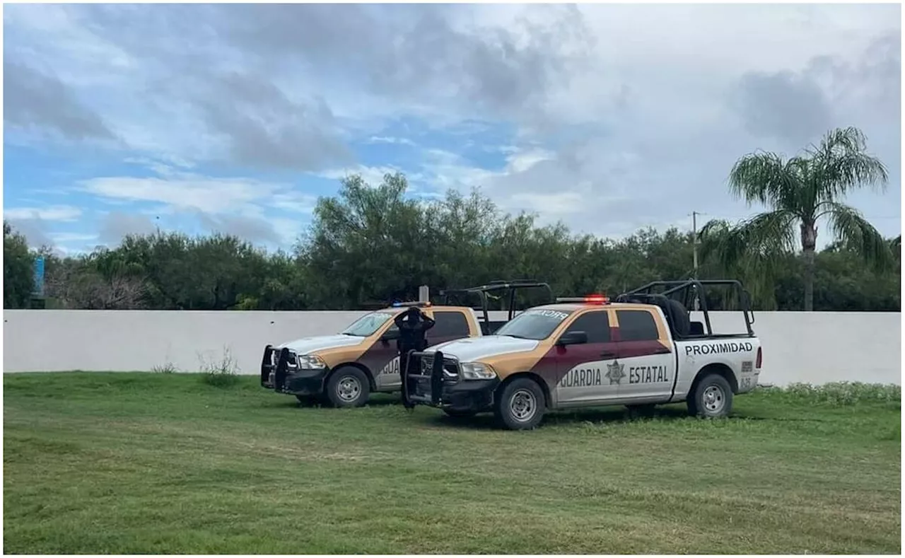 Tamaulipas alerta a EU por tigre siberiano que escapó de zoológico en Reynosa