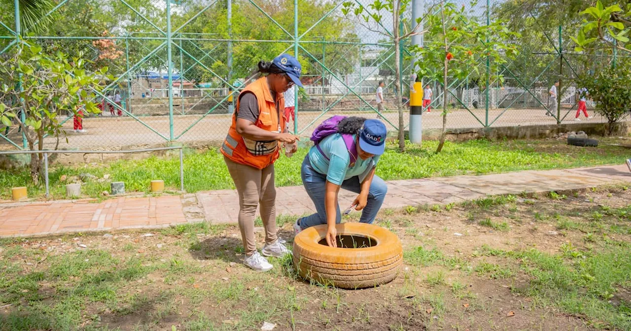 Dengue en Cartagena: conozca los barrios con más casos reportados