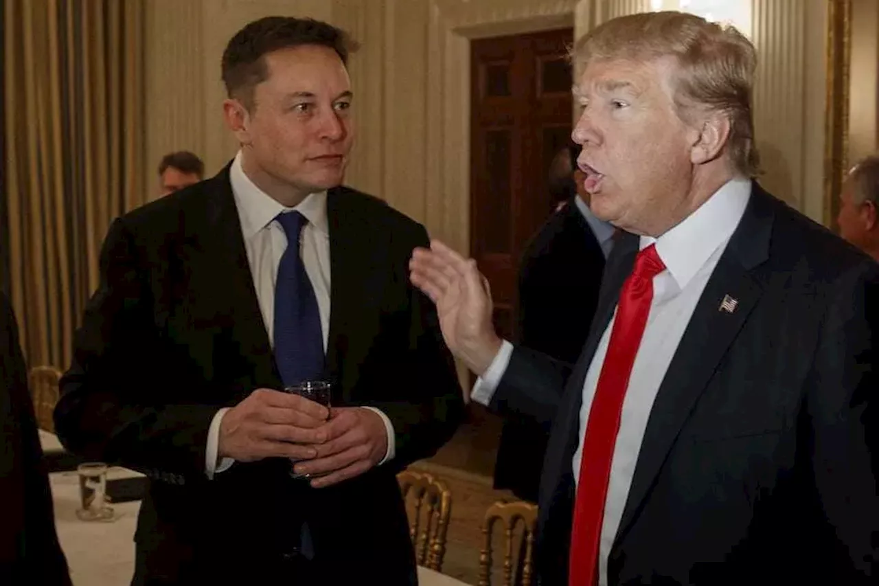 Trump nombrará a Elon Musk responsable de una comisión de eficiencia de la Administración