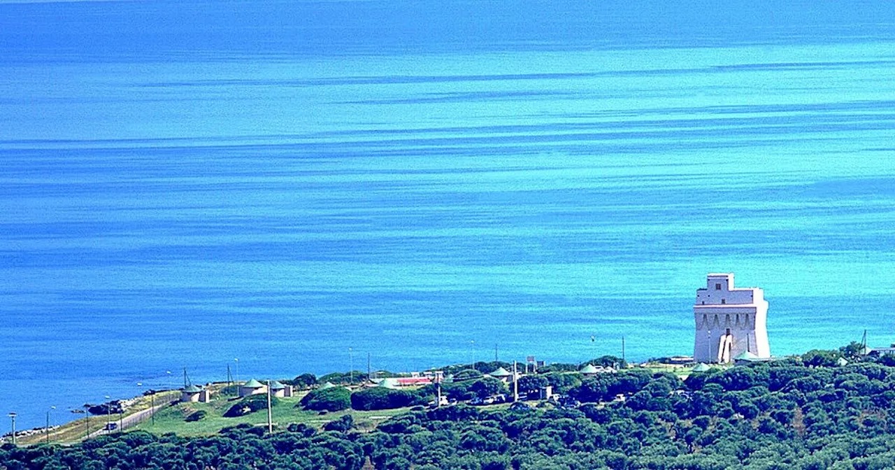 A rischio gli “ingegneri” del mare, così le microplastiche danneggiano il lavoro di…