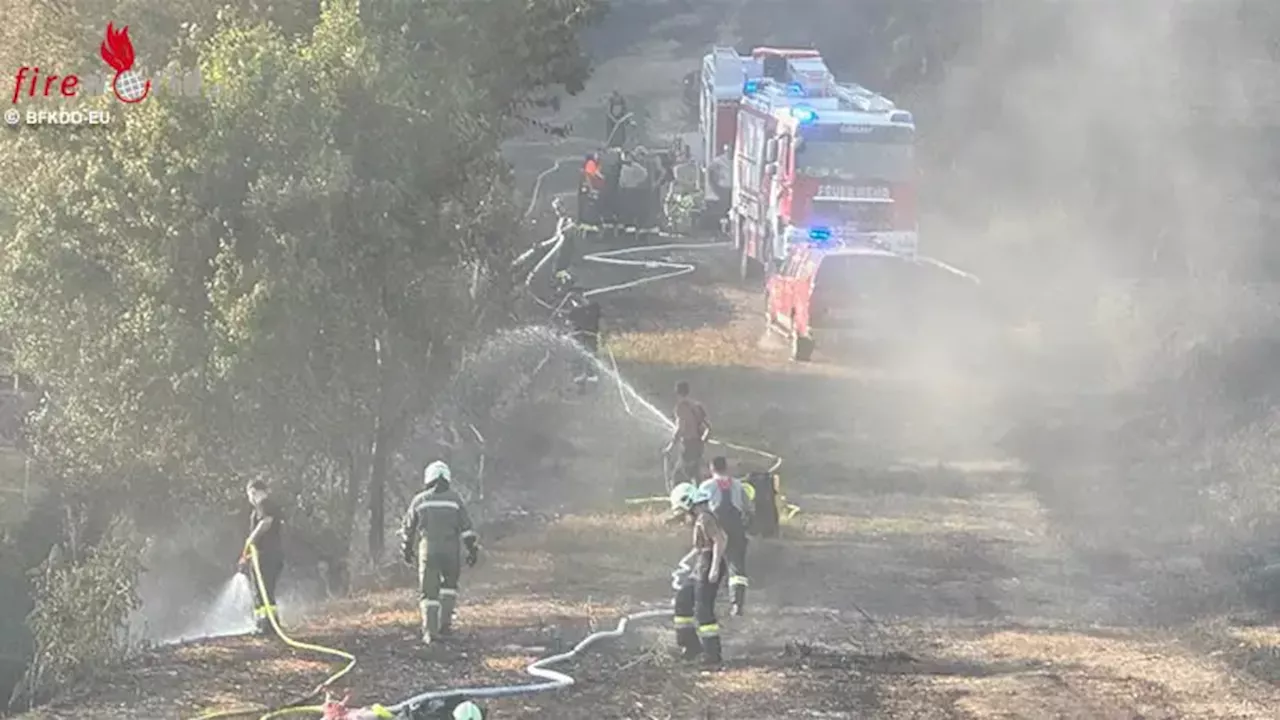 Bgld: Vegetationsbrand zwischen Purbach und Donnerskirchen von 10 Feuerwehren bekämpft