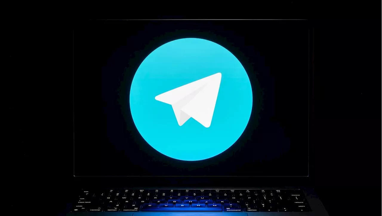 Telegram, eldorado de la diffusion de contenus illégaux en ligne