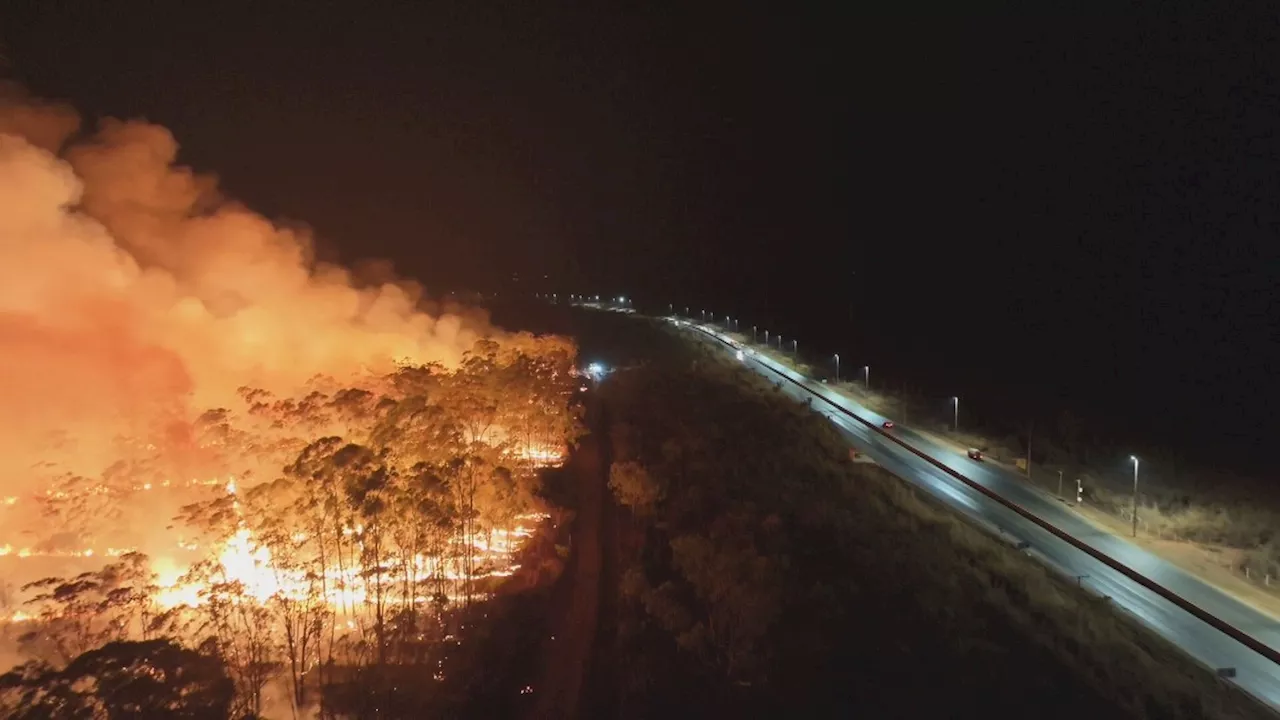 Incêndio na Floresta Nacional de Brasília é controlado após 3 dias