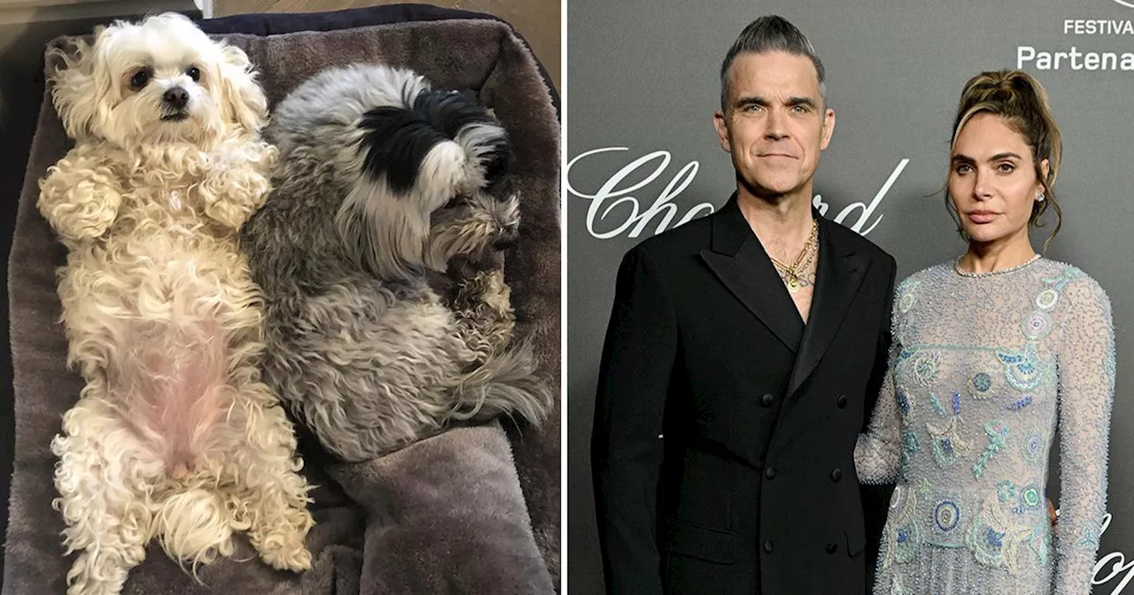 Robbie Williams and wife Ayda devastated as they announce two family deaths