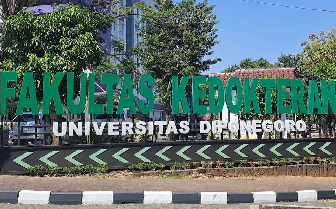 Keluarga dr Aulia Risma: PPDS Undip Bobrok, Kaprodi Harus Tanggung Jawab