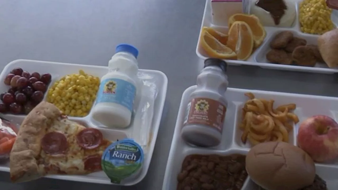 Advocate and lawmaker call for permanent solution as school lunch debt grows in Utah