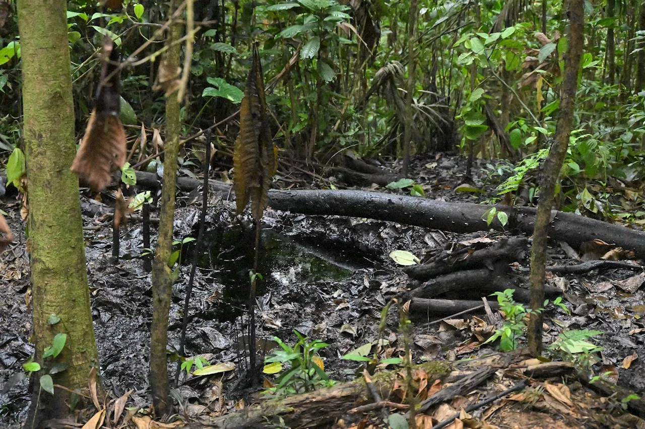 'Ca suffit': l'indignation des peuples de l'Amazonie équatorienne face à l'extraction pétrolière