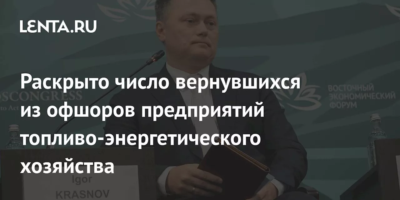 Раскрыто число вернувшихся из офшоров предприятий топливо-энергетического хозяйства