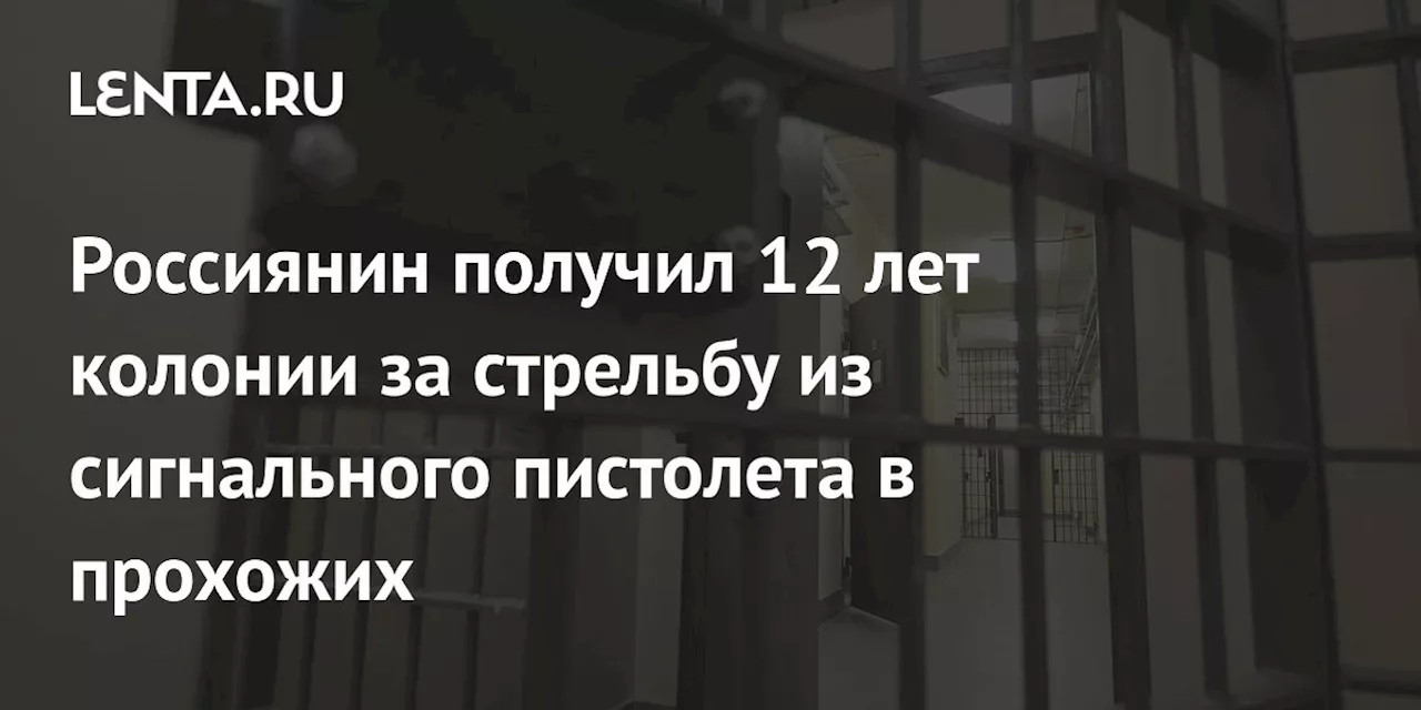 Россиянин получил 12 лет колонии за стрельбу из сигнального пистолета в прохожих