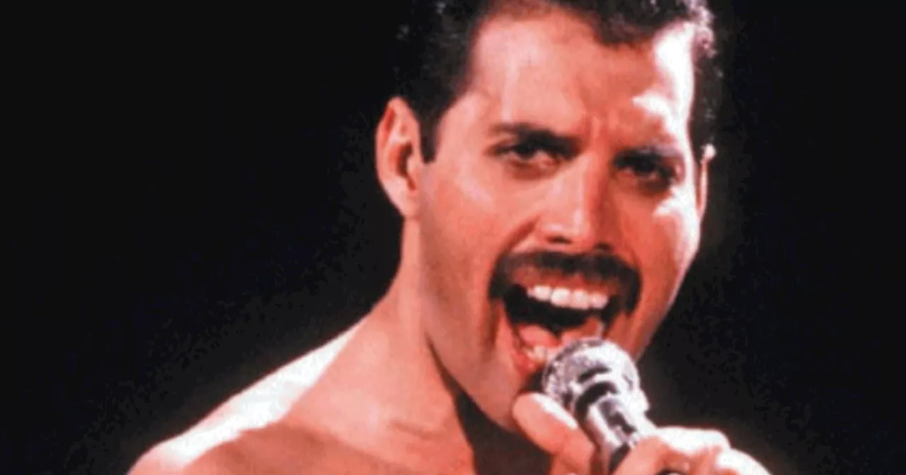 Freddie Mercury, libero e trasgressivo senza lezioni di inclusione: buon compleanno!