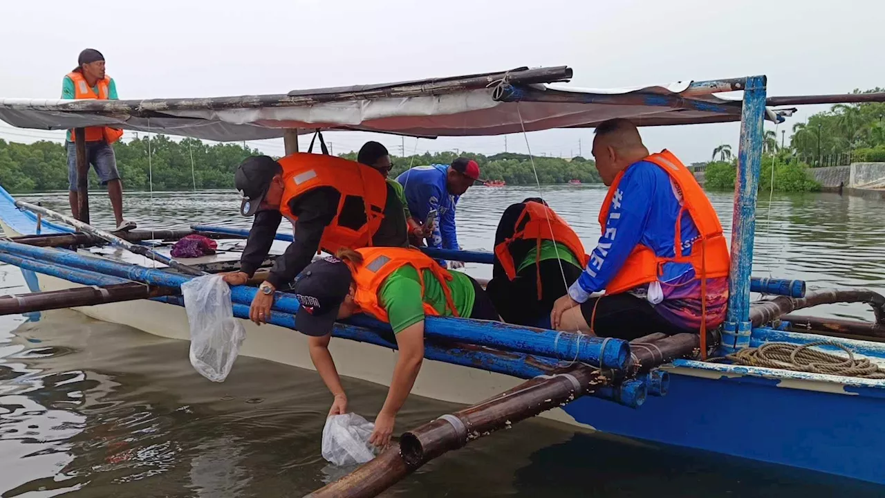 1,500 additional fish fingerlings released in Iloilo River