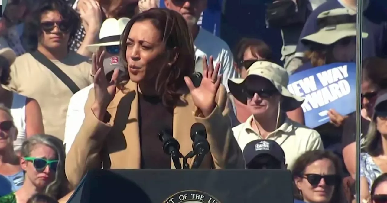 Harris calls Georgia high school shooting is a 'senseless tragedy'