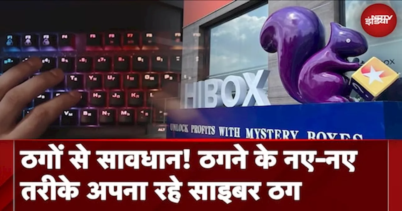 Cyber Fraud Case: ठगने के नए-नए तरीके अपना रहे बदमाश, Hibox App से 100 Crores की ठगी