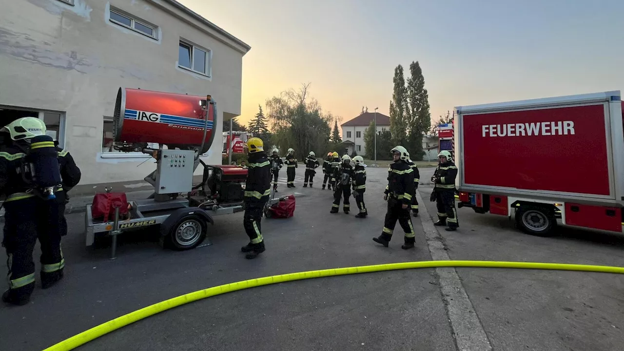 Brand in Wiener Neustädter Abfall-Entsorgung rasch gelöscht