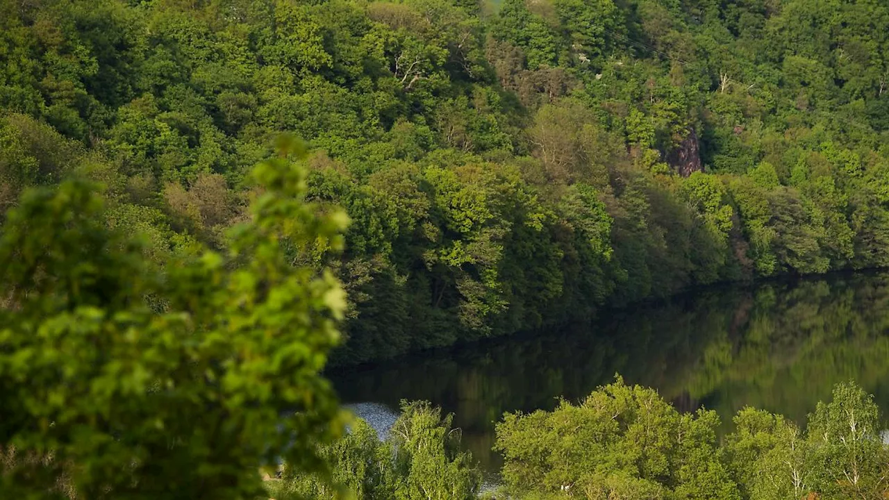 Sachsen: Brücke über Freiberger Mulde bei Mulda wird neu gebaut