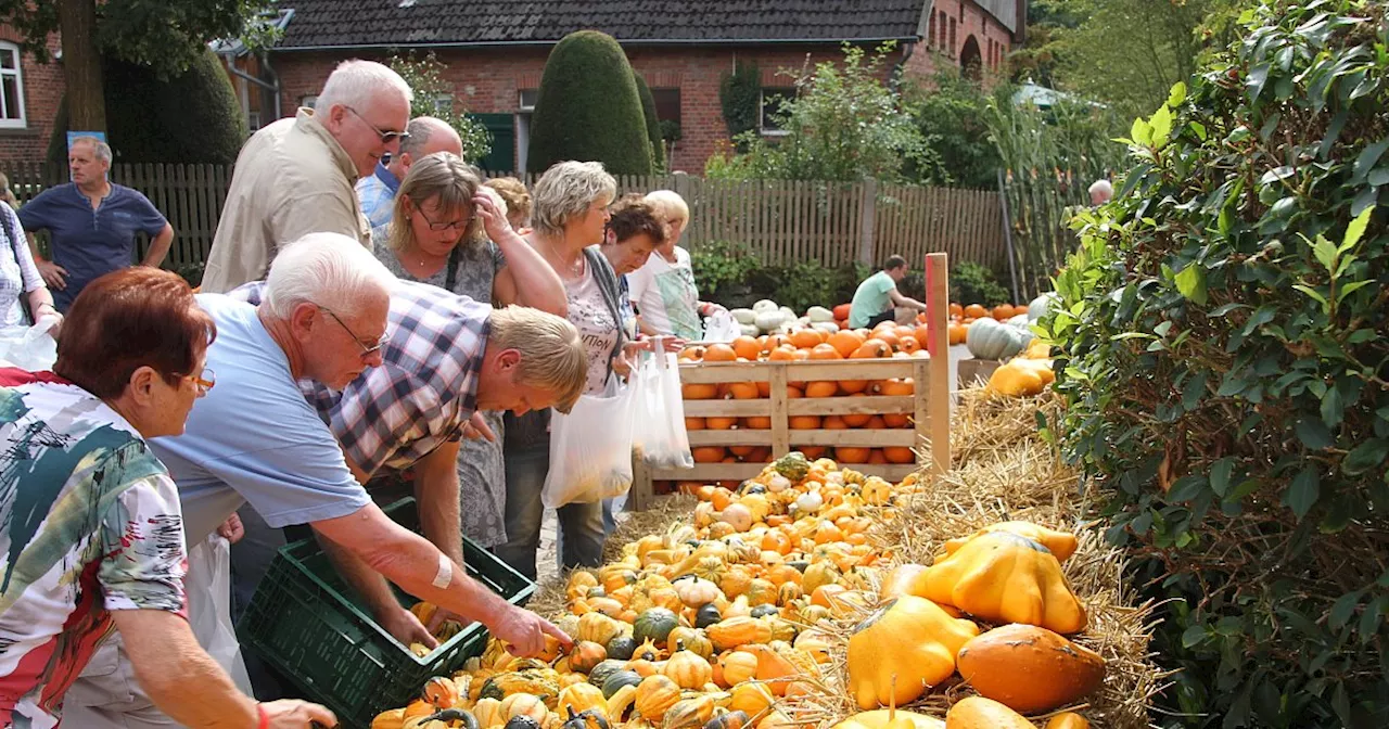 Großes Programm beim Bauernmarkt in Ottenhausen