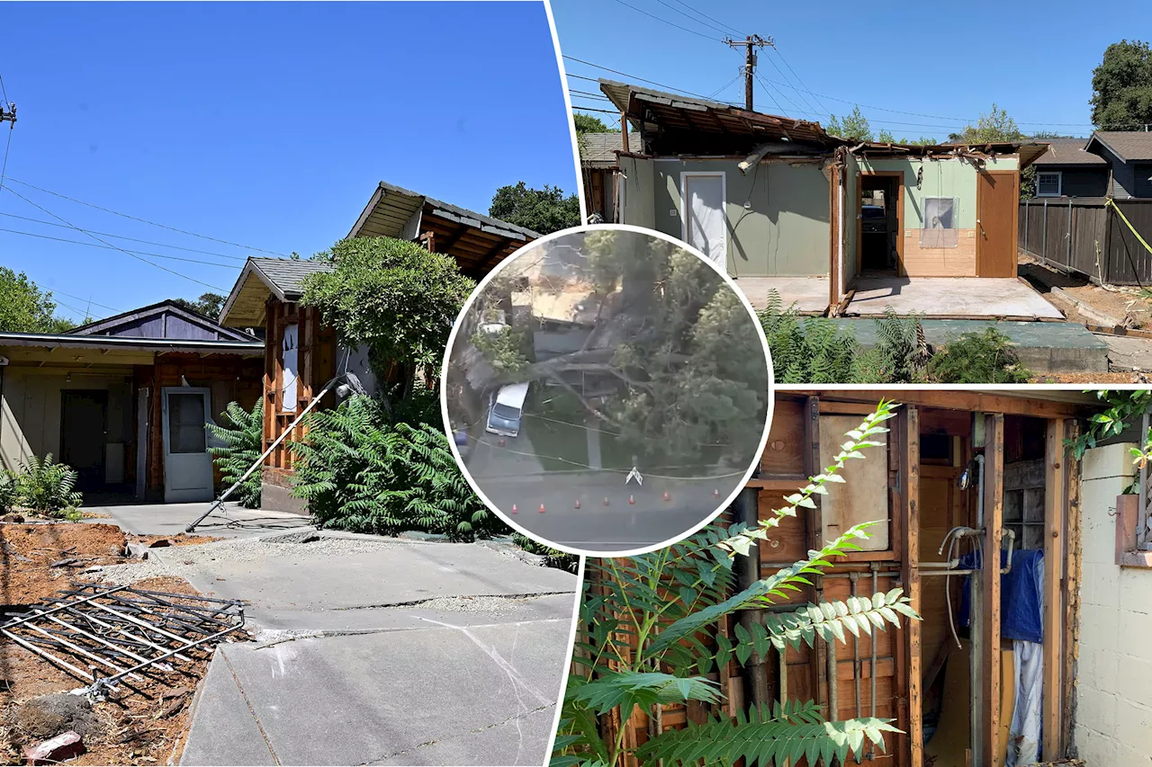 California bungalow aims to fetch $500K -- several months after being destroyed by a falling pine tree