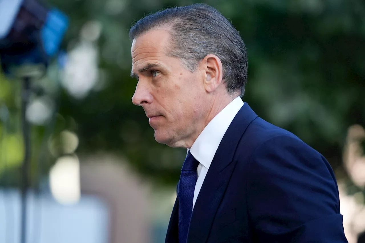 Hunter Biden's plea proves IRS and DOJ helped tilt the 2020 election for Joe