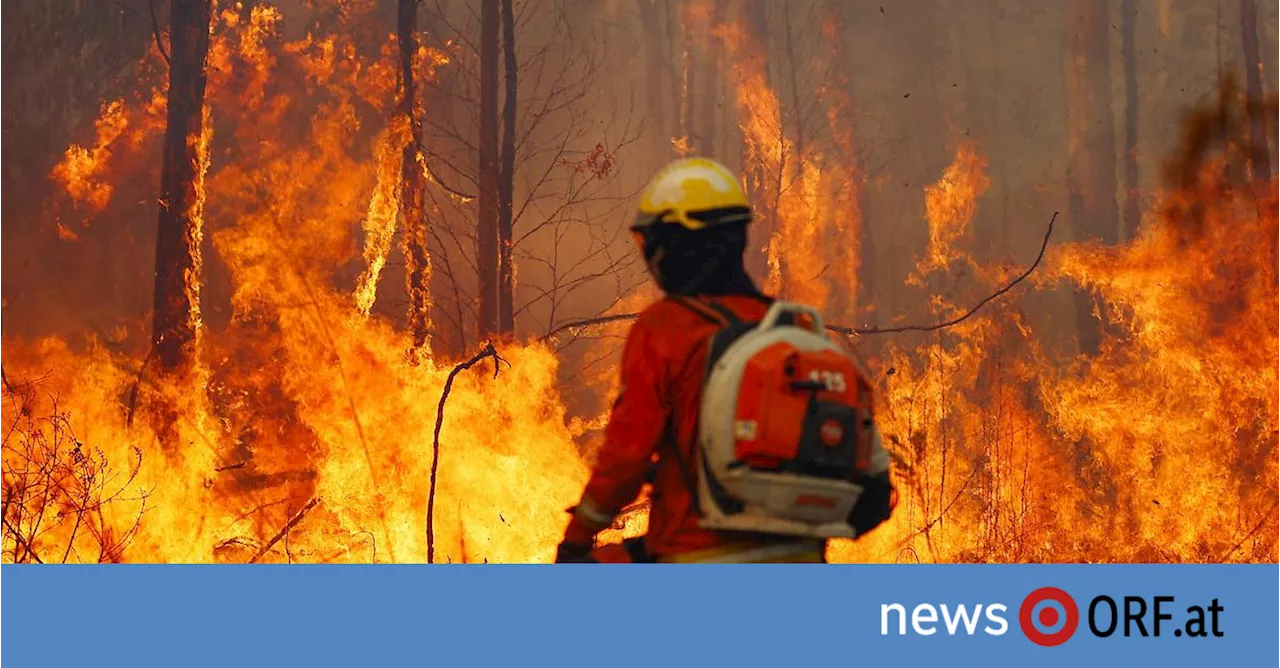 Heuer schon 70.400 Brände: Regenwald steht in Flammen