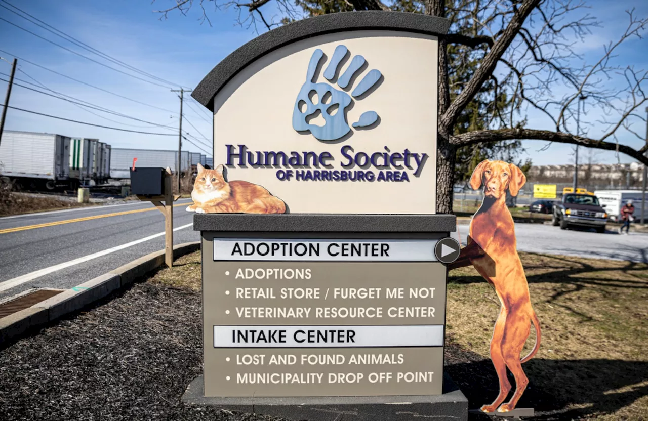 Humane Society of Harrisburg Area to waive all adoption fees during special event