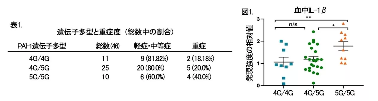 遺伝学的背景が新型コロナ感染症の重症度を制御する機序を解明