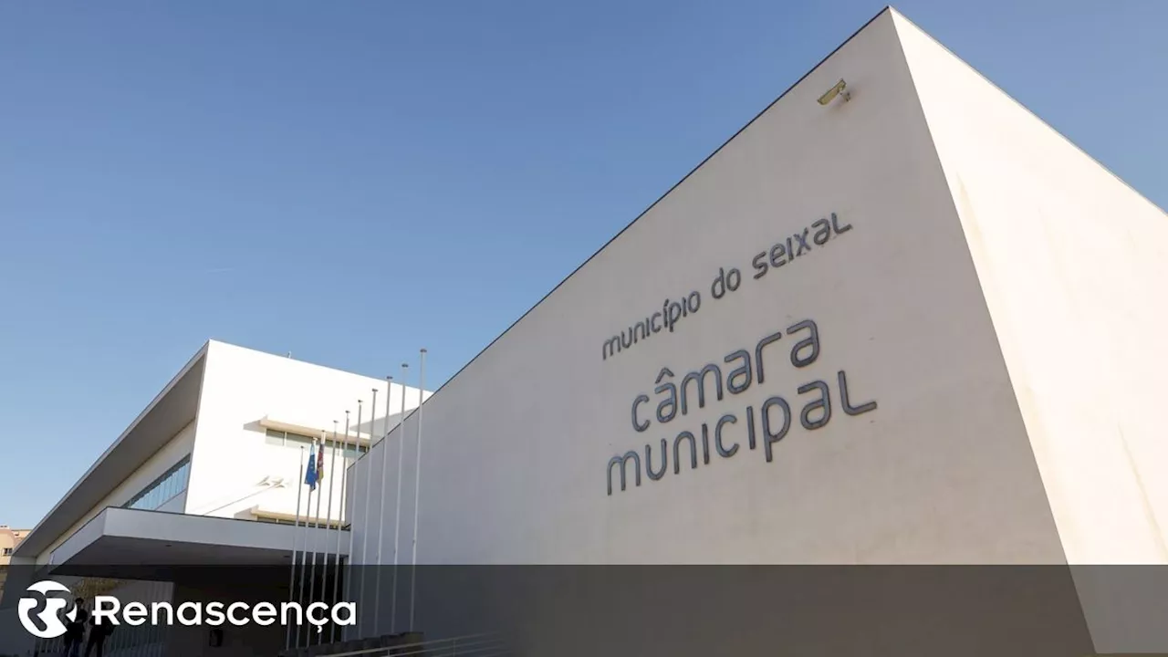 Presidente da Câmara do Seixal lamenta 'repentina destituição' da administração da Unidade Local de Saúde