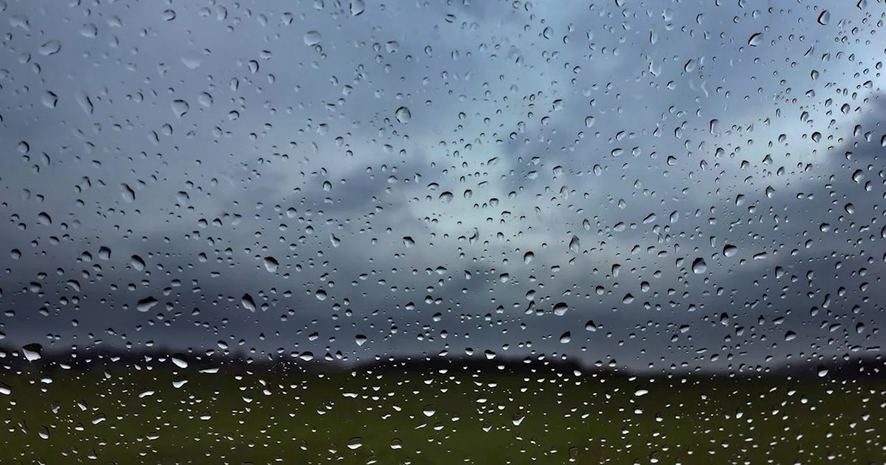 Bremen: So viel Regen wie früher in einem Monat