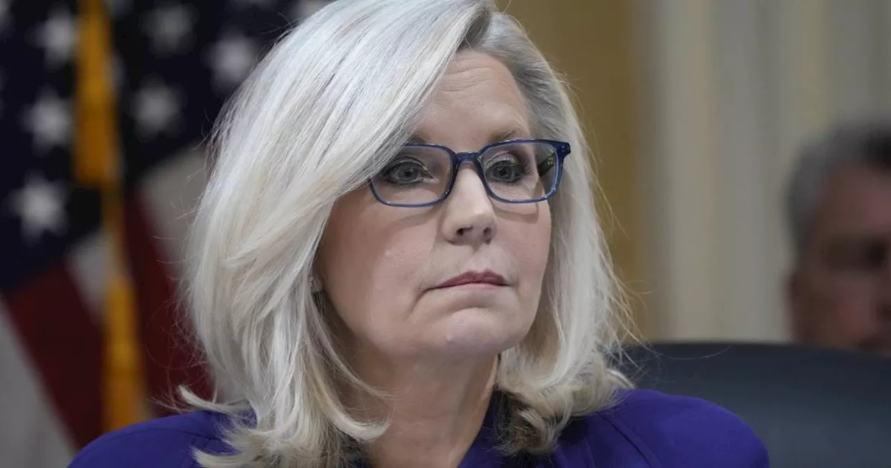 US-Wahlkampf: Republikanerin Liz Cheney unterstützt Harris