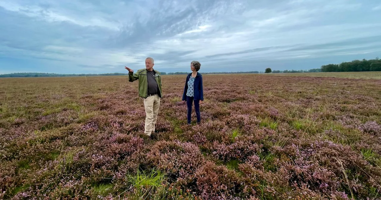 Defensie doet onderzoek naar Hijkerveld als oefenterrein: 'Voor ons is het onbespreekbaar'