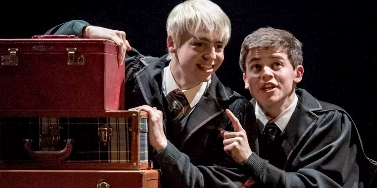 Harry Potter & The Cursed Child Set Up The Zaniest Spinoff (But It's Been Done Before)