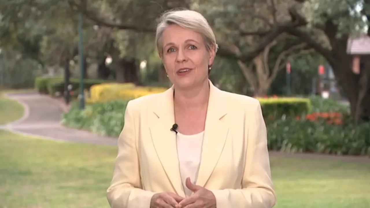 Plibersek’s go-kart distraction as she defends gold mine decision