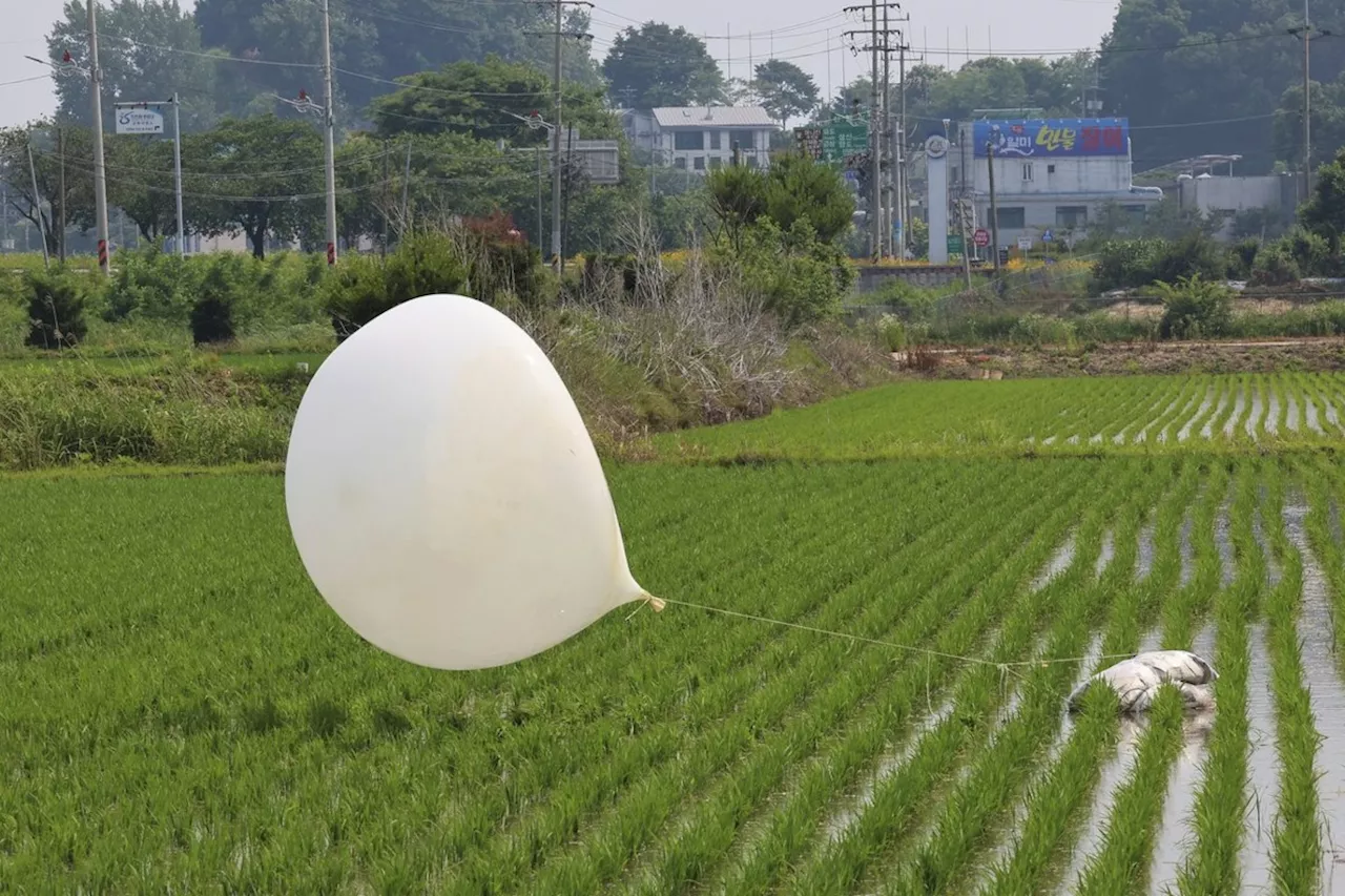 South Korea says North Korea has again launched trash-carrying balloons across the border