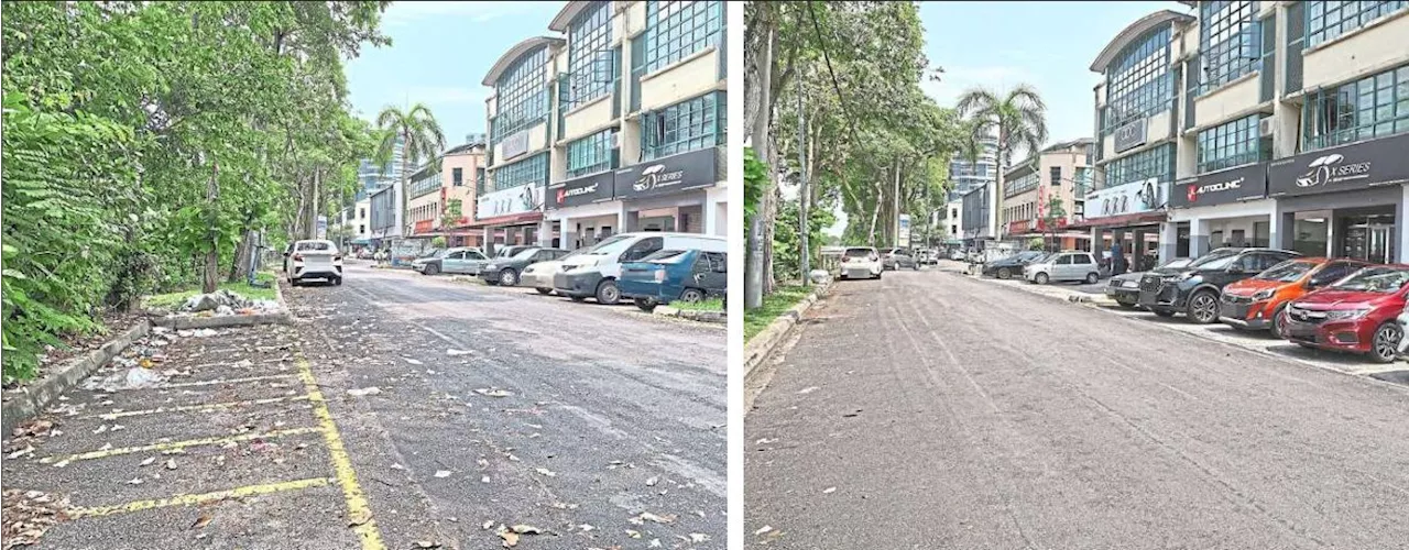 Post prompts Ara Damansara cleanup