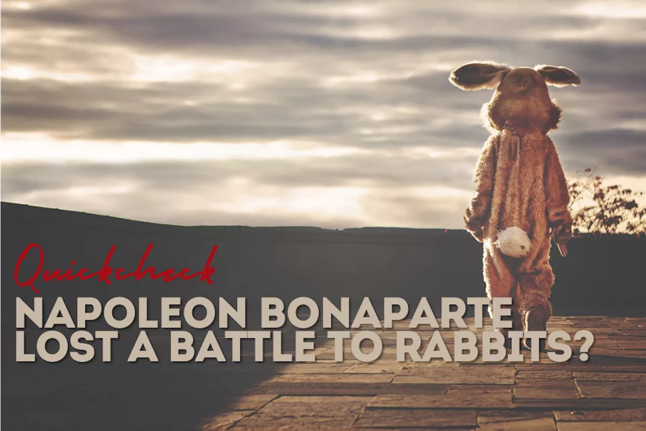 Quickcheck: Did a hunt cause Napoleon Bonaparte to retreat due to rabbits?