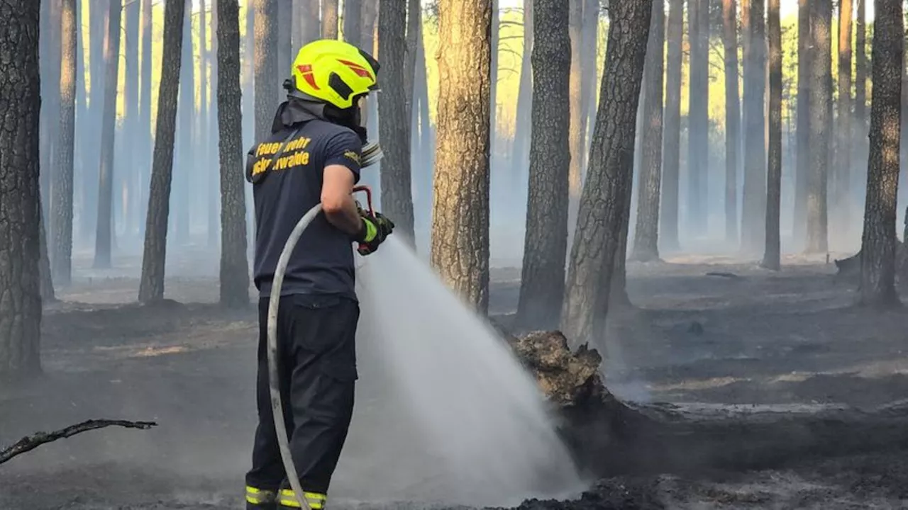 Waldbrände: Waldbrand bei Ruhlsdorf unter Kontrolle