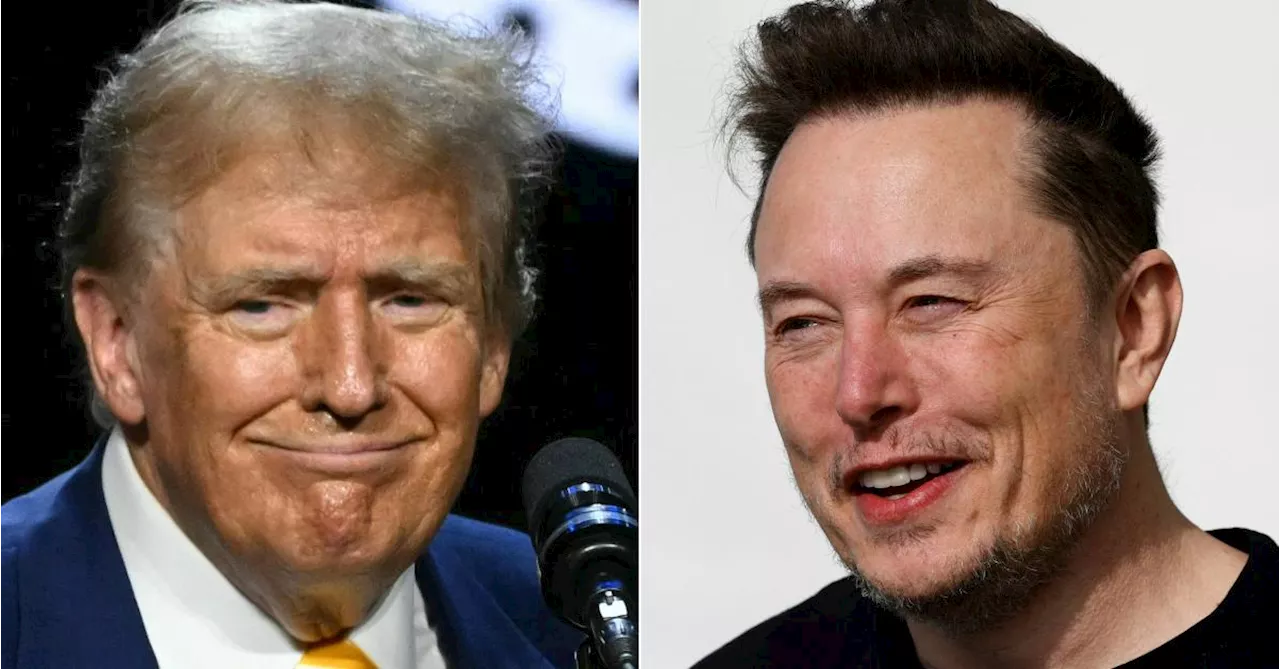 Donald Trump veut charger Elon Musk d’un « audit » du gouvernement américain pour le « réformer » en