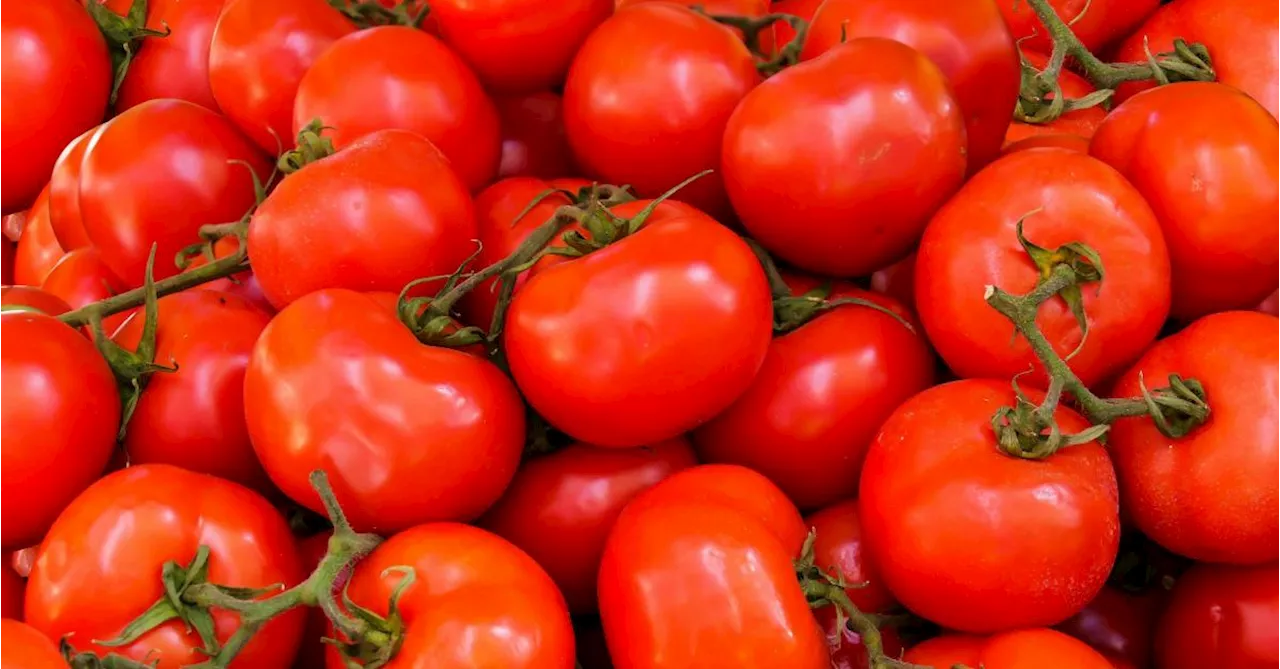 Tintigny organise un marché de la tomate le 13 septembre prochain