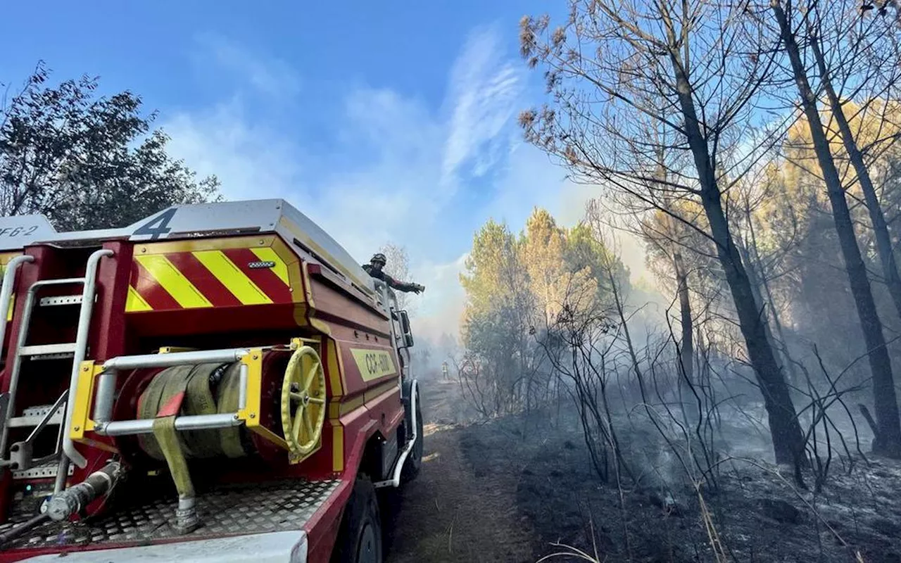 Incendies de l’été 2022 : il y a deux ans, le Médoc et la Dordogne victimes de nouveaux feux, en douze images