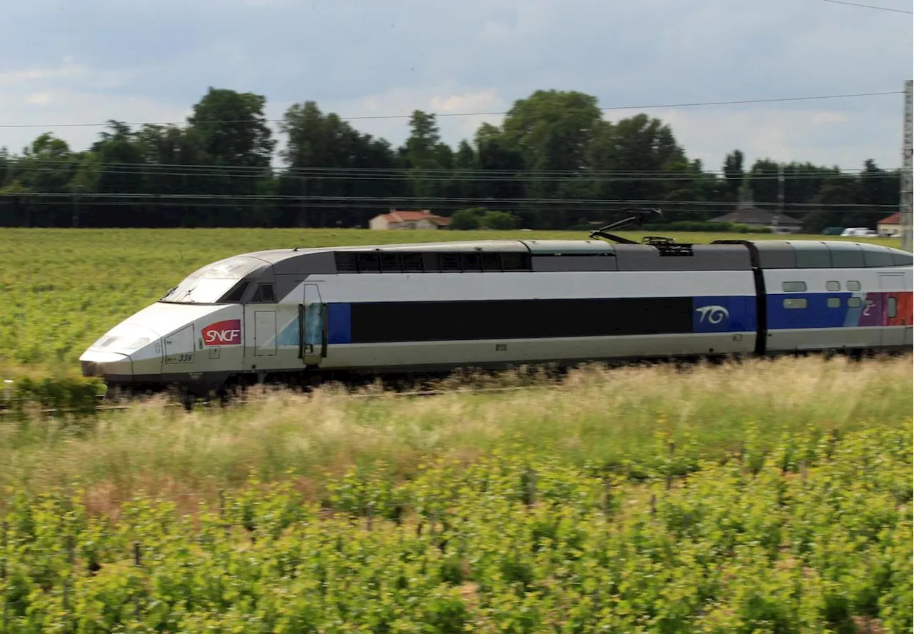 LGV Bordeaux-Toulouse-Dax : aménager la compensation écologique, un défi de taille aux résultats incertains