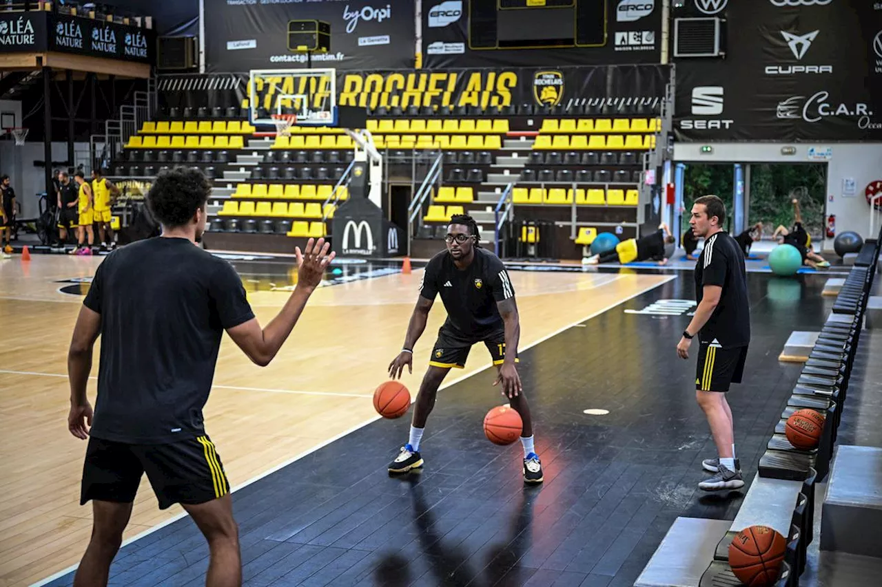 Préparation : le Stade Rochelais Basket battu par Le Mans avant de retrouver Limoges