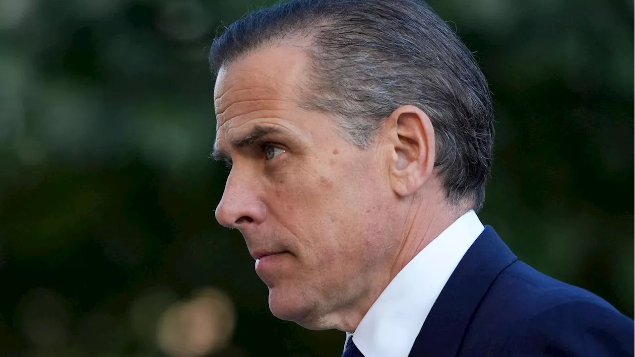 Sohn des US-Präsidenten: Hunter Biden bekennt sich schuldig in Steuerverfahren