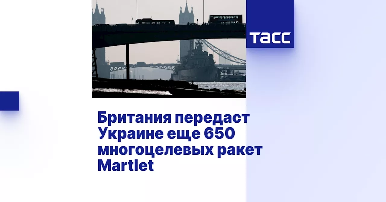 Британия передаст Украине еще 650 многоцелевых ракет Martlet