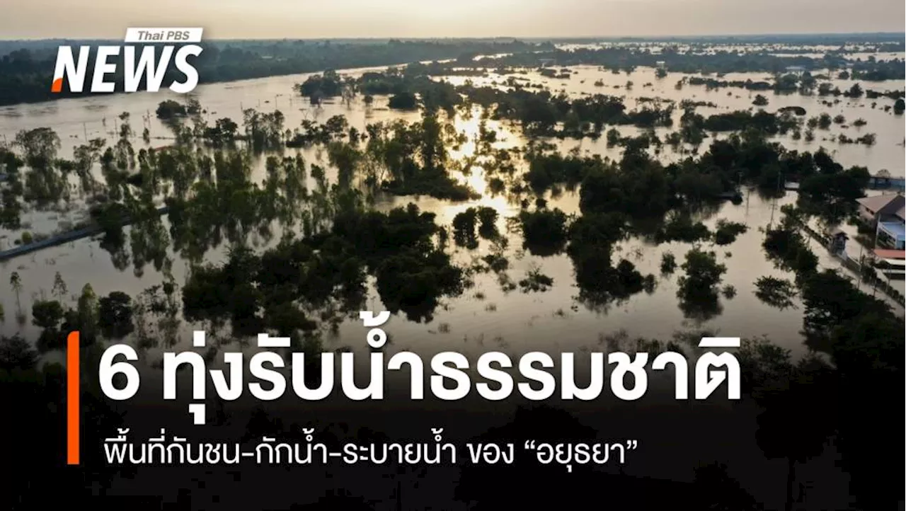 '6 ทุ่งรับน้ำ' พื้นที่กันชน-กักน้ำ-ระบายน้ำ ของอยุธยา