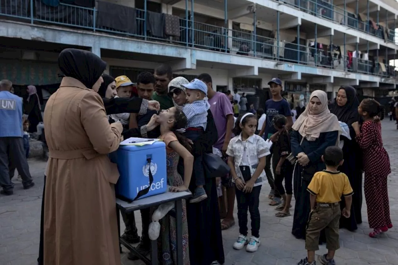 'Polio pause' in Gaza war brings glimmer of hope