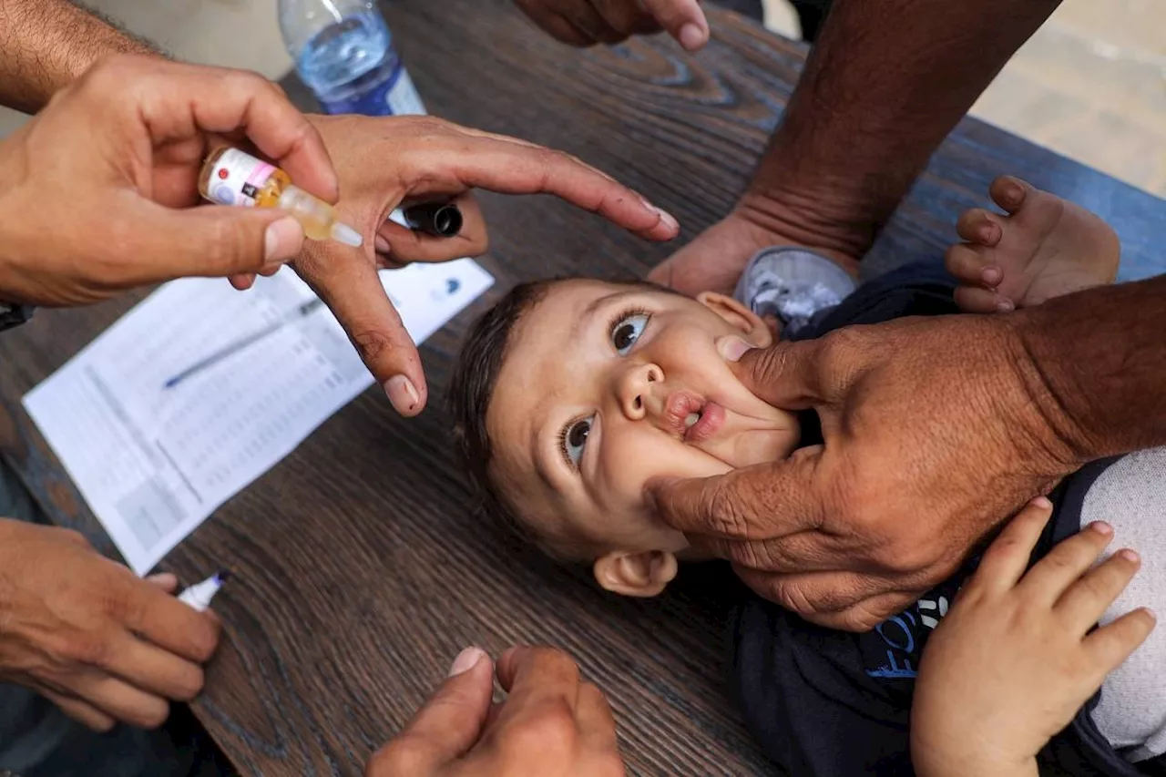 WHO hails success of polio 1st phase vaccination campaign in Gaza